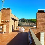 Avets Platja d'Aro